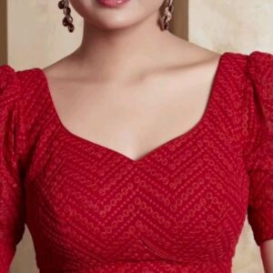 Elegant Designer Blouse